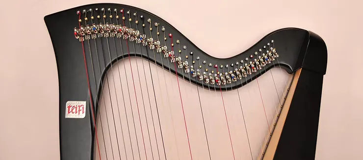 Angharad's black 'Teifi Robyn' lever harp in front of a fully pink backdrop.