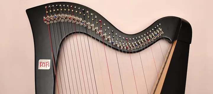 Angharad's black 'Teifi Robyn' lever harp in front of a fully pink backdrop.