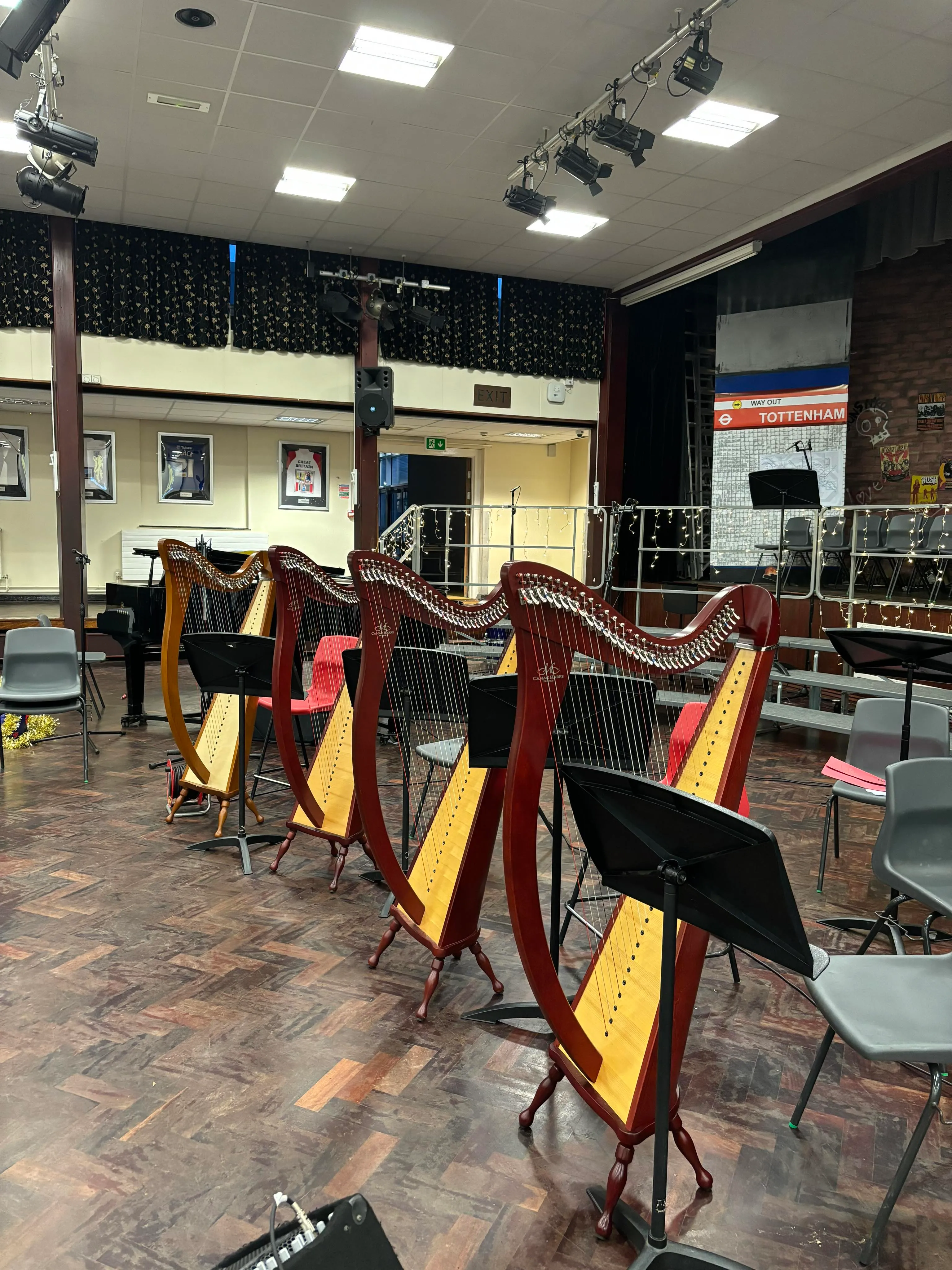 A line of 5 Harp-E's