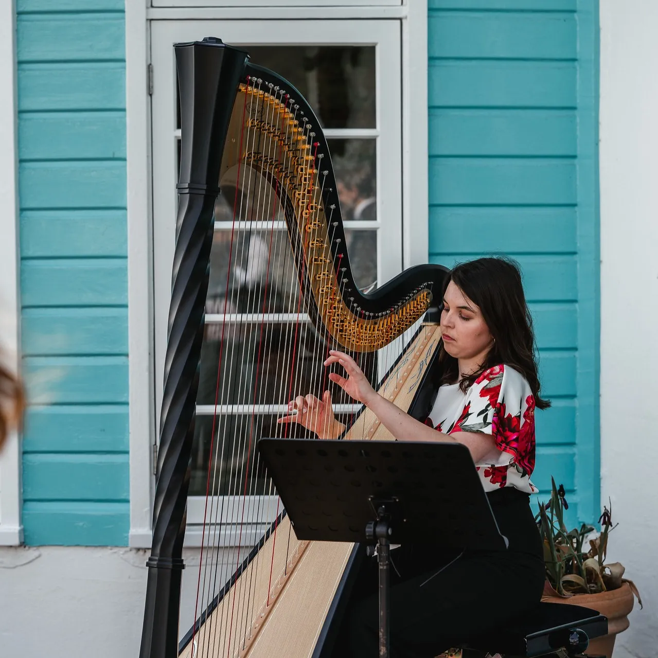 Angharad playing at a wedding